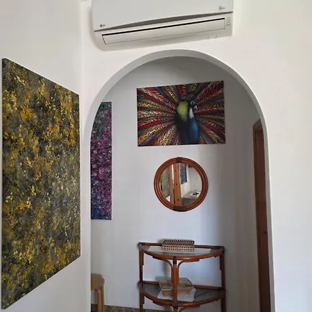 Maria Luisa טורה קאנה